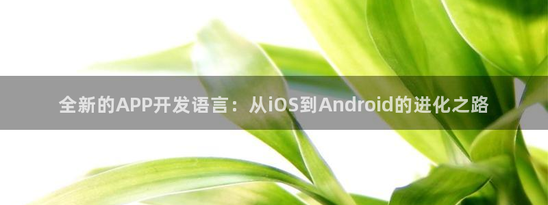 巅峰国际：全新的APP开发语言：从iOS到Android的进