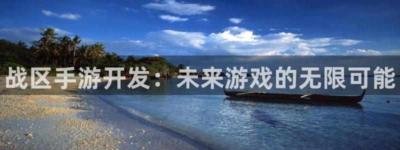 巅峰国际登录：战区手游开发：未来游戏的无限可能