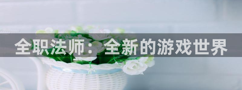巅峰国际下载：全职法师：全新的游戏世界