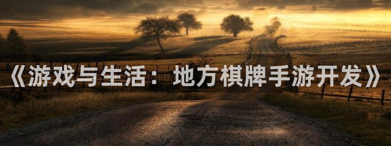 巅峰国际官网：《游戏与生活：地方棋牌手游开发》