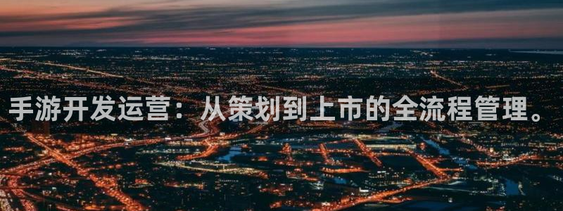 巅峰国际登陆：手游开发运营：从策划到上市的全流程管理。