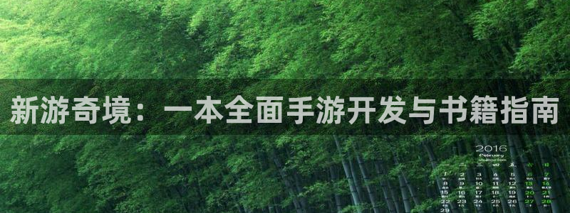 巅峰国际下载：新游奇境：一本全面手游开发与书籍指南