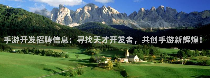 巅峰国际首页：手游开发招聘信息：寻找天才开发者，共创手游新辉
