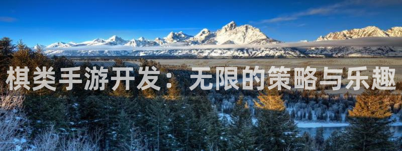 巅峰国际平台：棋类手游开发：无限的策略与乐趣