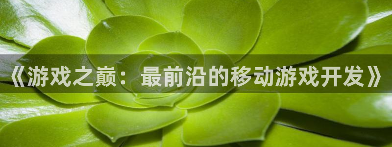 巅峰国际登陆：《游戏之巅：最前沿的移动游戏开发》