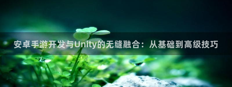 巅峰国际平台：安卓手游开发与Unity的无缝融合：从基础到高