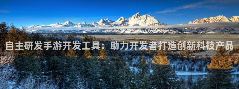 巅峰国际：自主研发手游开发工具：助力开发者打造创新科技产品