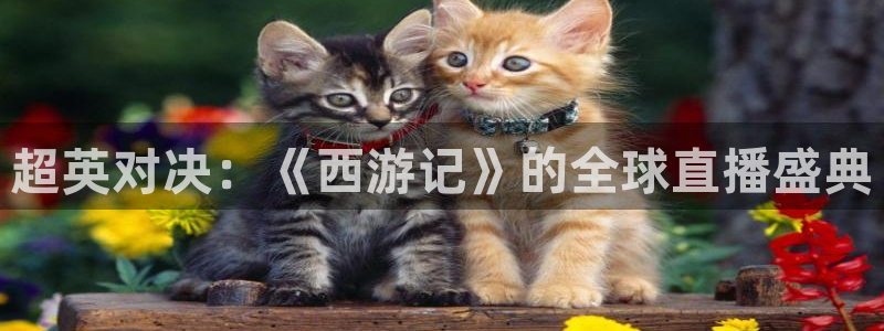 919 直播：超英对决：《西游记》的全球直播盛典