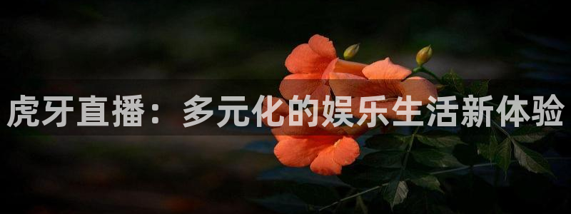 01zbtv直播体育919：虎牙直播：多元化的娱乐生活新体验