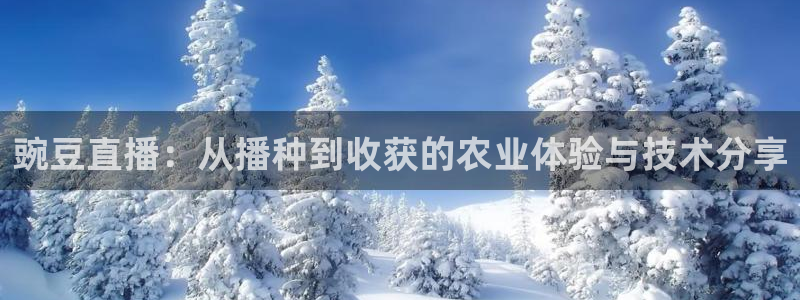 919篮球直播：豌豆直播：从播种到收获的农业体验与技术分享