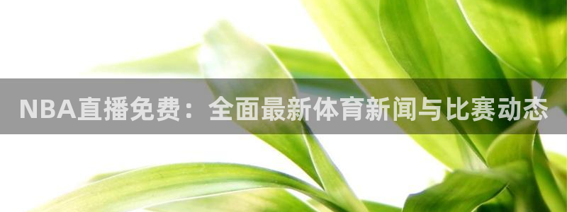 919 直播：NBA直播免费：全面最新体育新闻与比赛动态