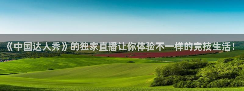 919nba直播看球观看
