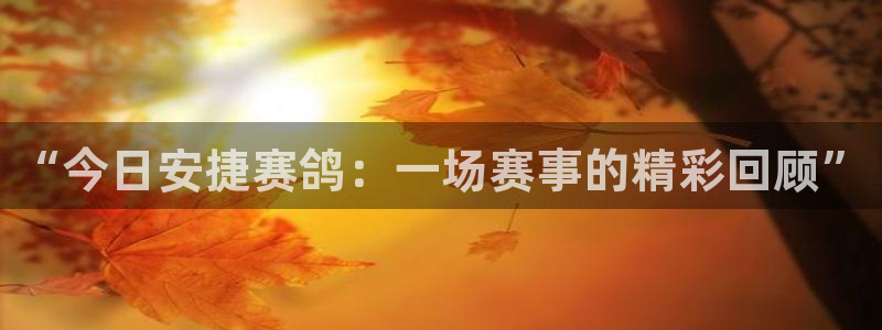 919直播间现场直播：“今日安捷赛鸽：一场赛事的精彩回顾”