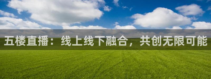 919直播间官网：五楼直播：线上线下融合，共创无限可能