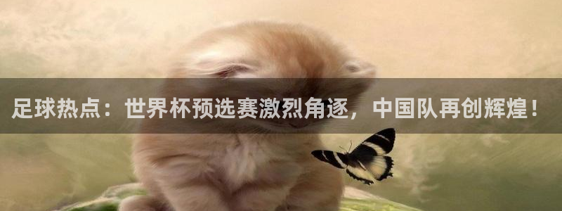 919体育直播下载：足球热点：世界杯预选赛激烈角逐，中国队再创辉煌！