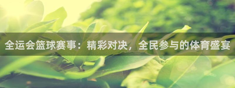 919足球直播间：全运会篮球赛事：精彩对决，全民参与的体育盛宴