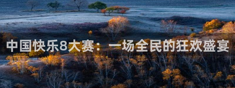 919体育直播：中国快乐8大赛：一场全民的狂欢盛宴