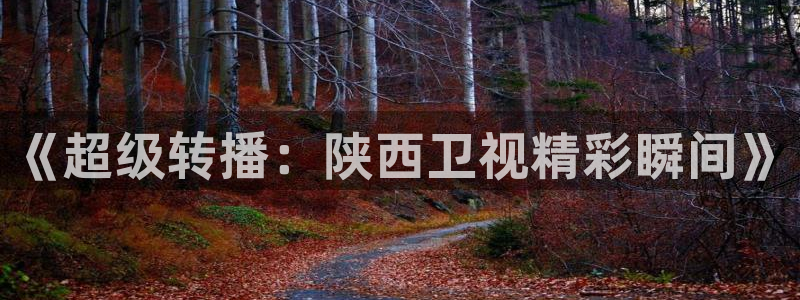 919直播体育在线直播在线看：《超级转播：陕西卫视精彩瞬间》