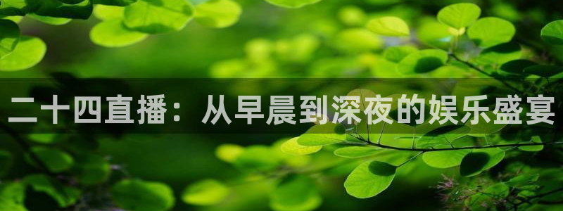 919球赛直播：二十四直播：从早晨到深夜的娱乐盛宴