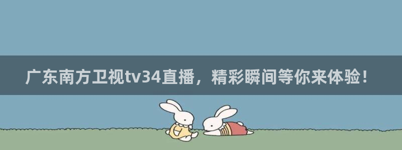 919体育直播间在线看：广东南方卫视tv34直播，精彩瞬间等你来体验！