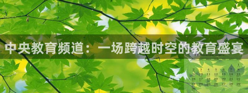 919体育直播高清在线观看：中央教育频道：一场跨越时空的教育盛宴